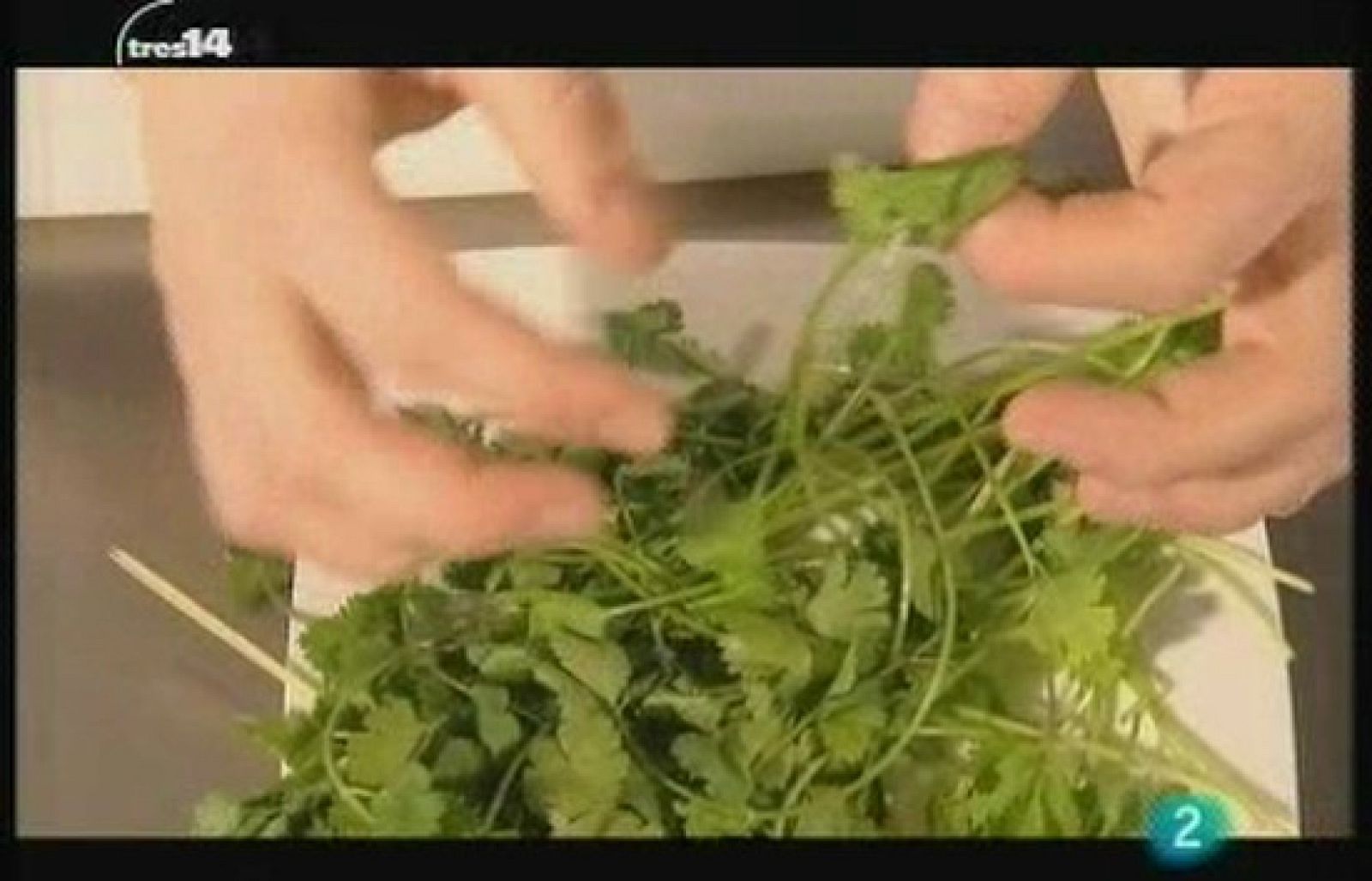 Cocina en red (En red)