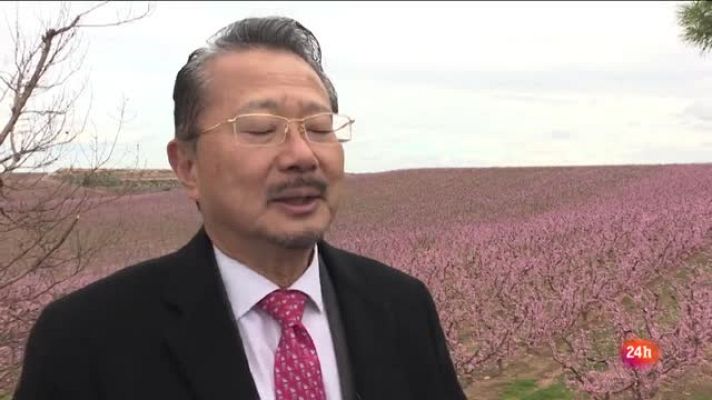 Repor - De flor en flor - Naohito Watanabe Cónsul General de Japón