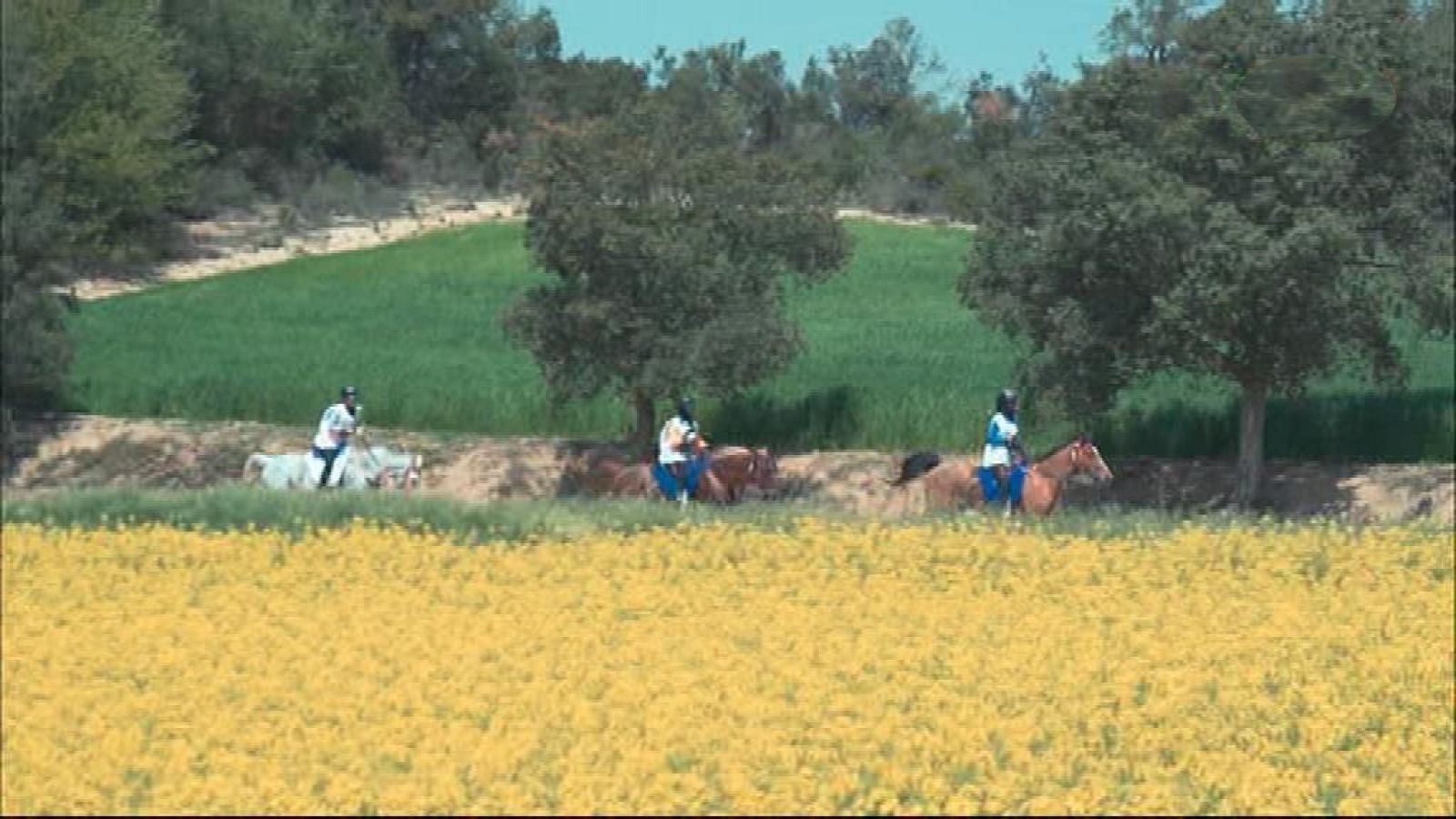 Evasión - T6 - Raid Internacional de Tordera 2018