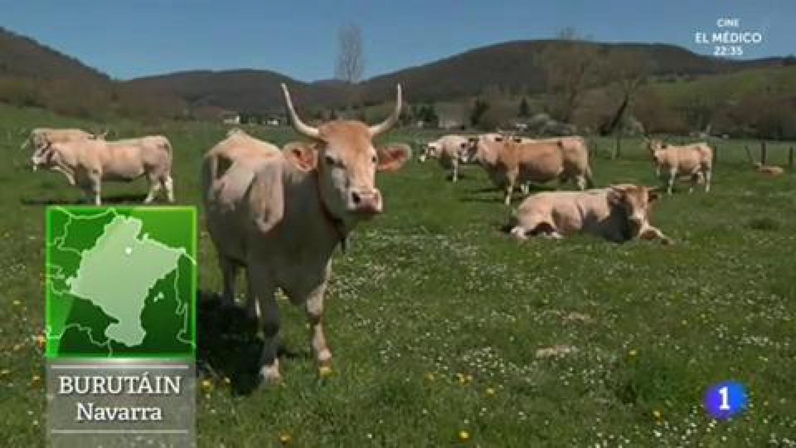 Veterinario rural por vocación  