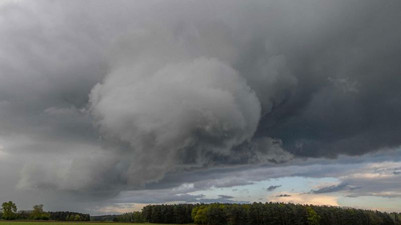 En el Cantábrico, Pirineos, norte de Navarra y del sistema Ibérico, nuboso o cubierto con lluvias