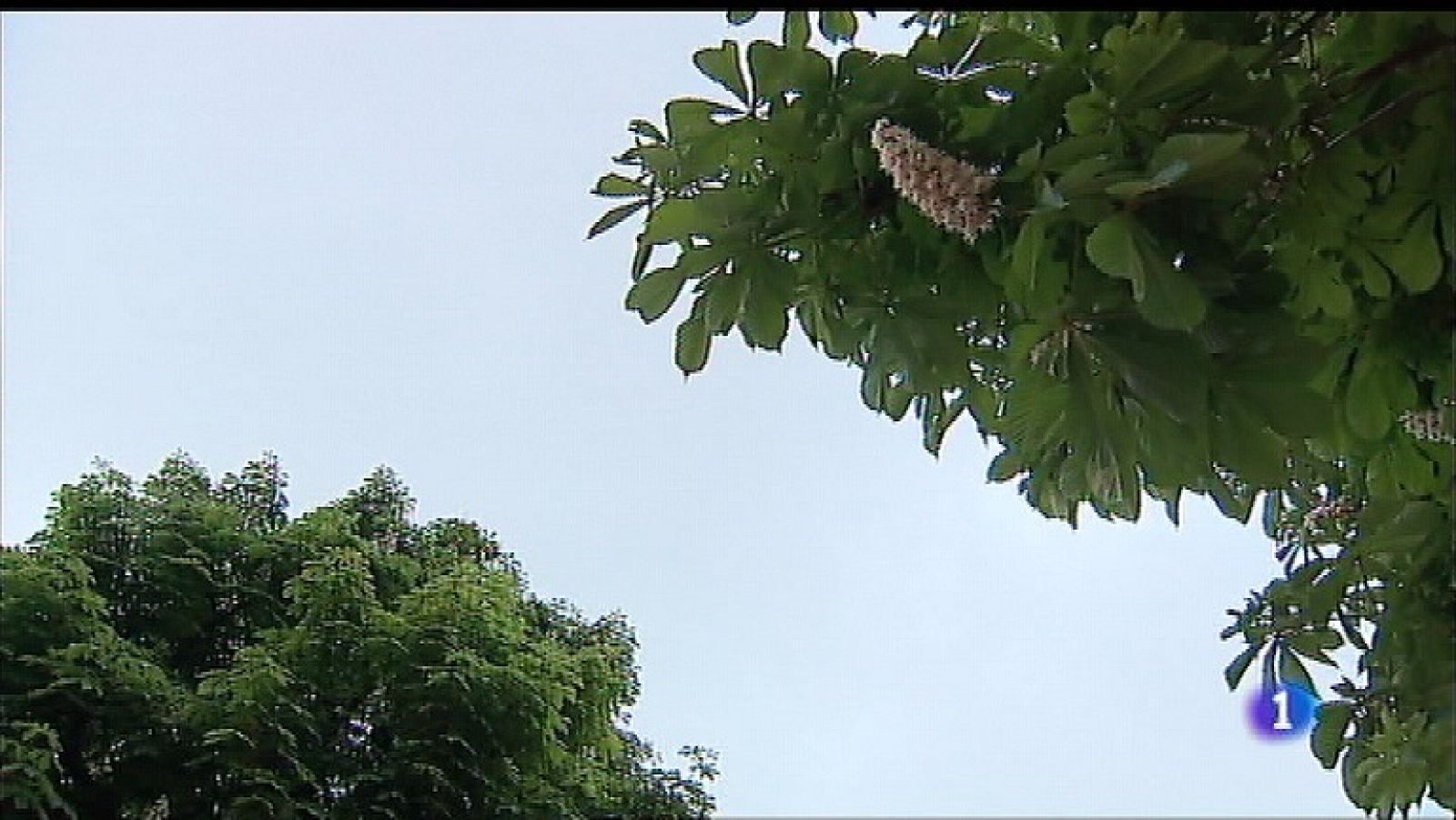 El tiempo en Asturias - 03/05/18 | Ver