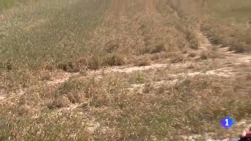  Aragón en 2'-03/05/18