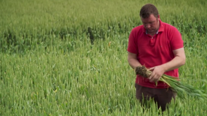 Agrosfera - Agrosfera - 05/05/18