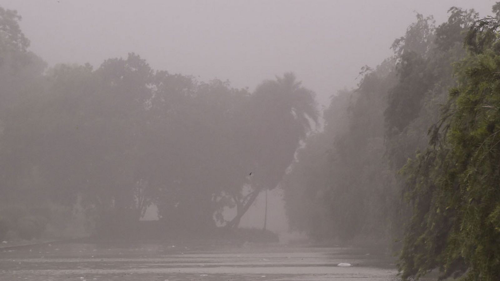 El tiempo: Lluvia y granizo en zonas interiores del sur y viento fuerte en Cádiz | RTVE Play