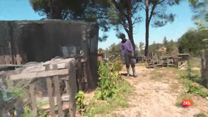 Repor - Omar nos enseña la chabola que comparte con Elena