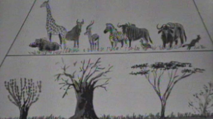 El planeta azul - Los herbívoros (I)