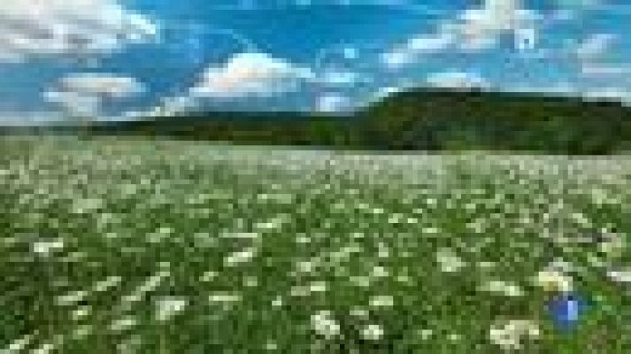 Telenorte - País Vasco - El tiempo en el País Vasco - 08/05/18