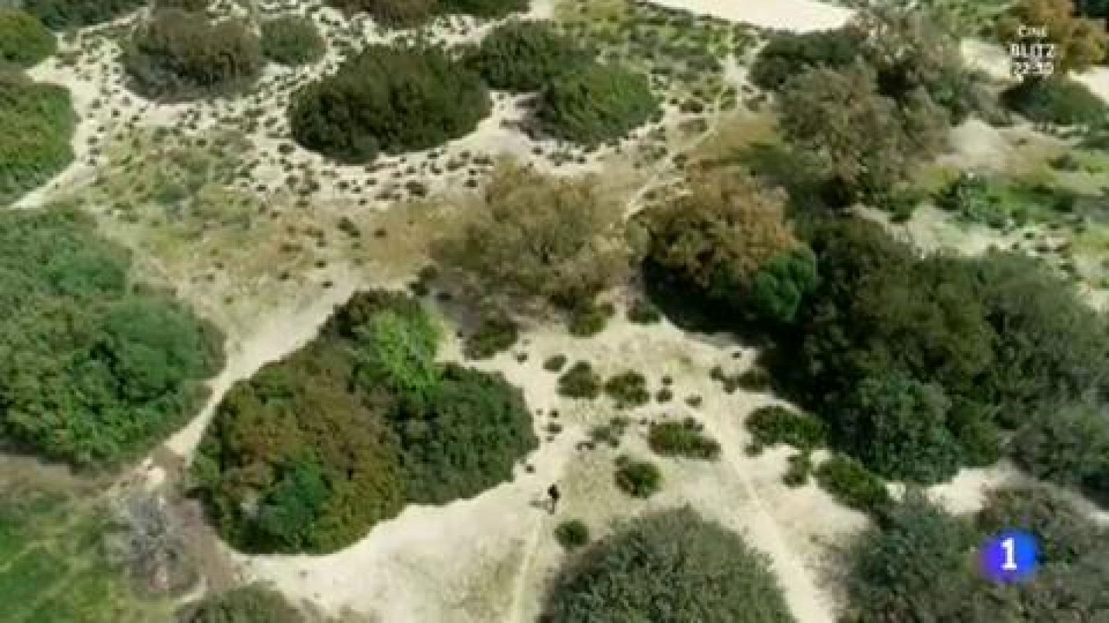 Doñana, un paraíso para toda Europa