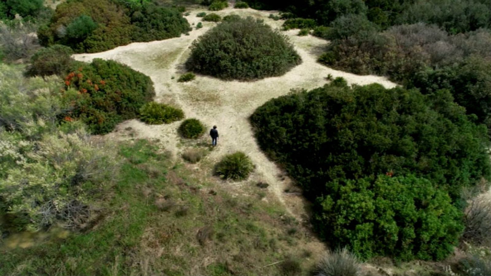 ¡Viva el amor por la naturaleza!