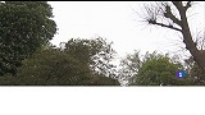 Panorama Regional - El tiempo en Asturias - 09/05/18