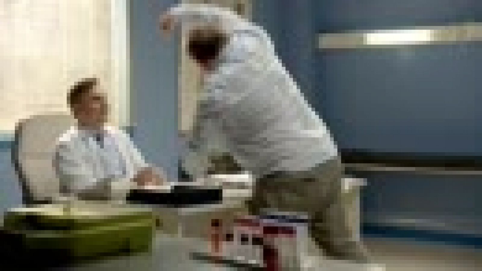 Jose Mota Presenta - Tomas falsas (6)