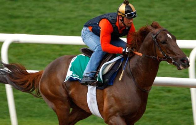 Turf - Arranca el Turf