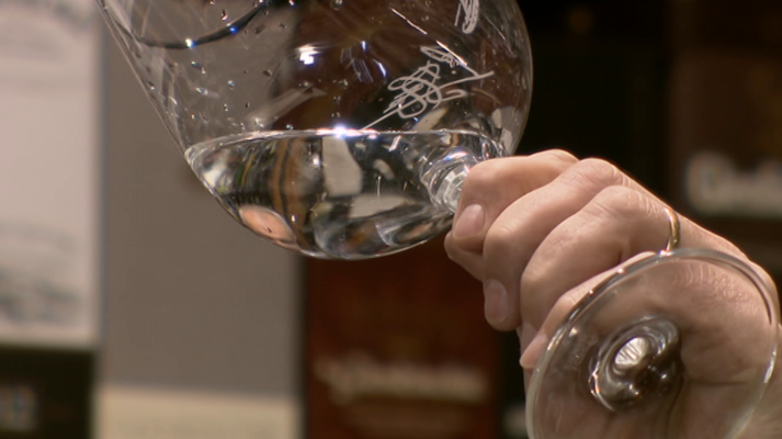 El escarabajo verde - Agua plastificada