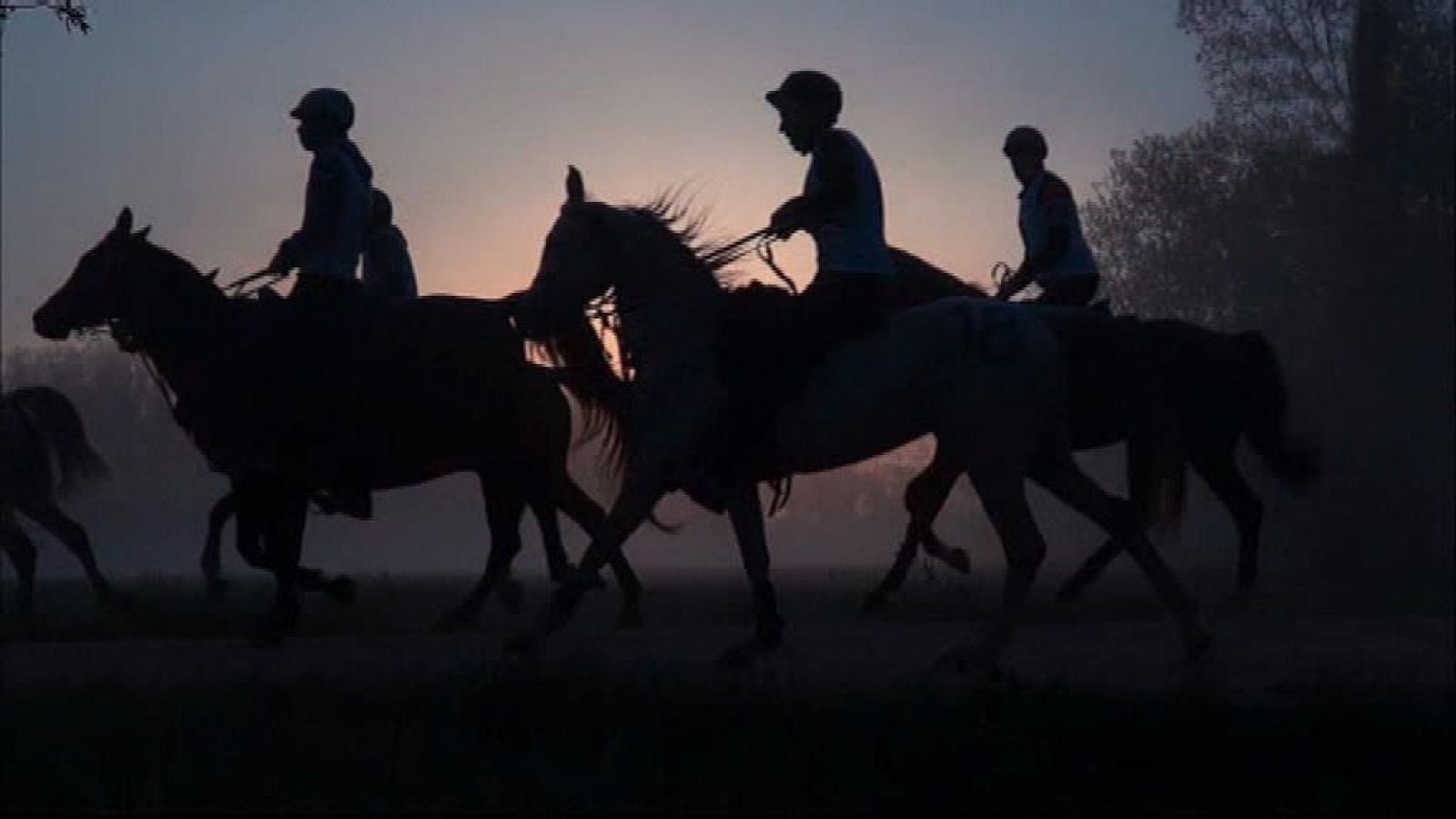 Evasión - T6 - Programa 9 - ver ahora