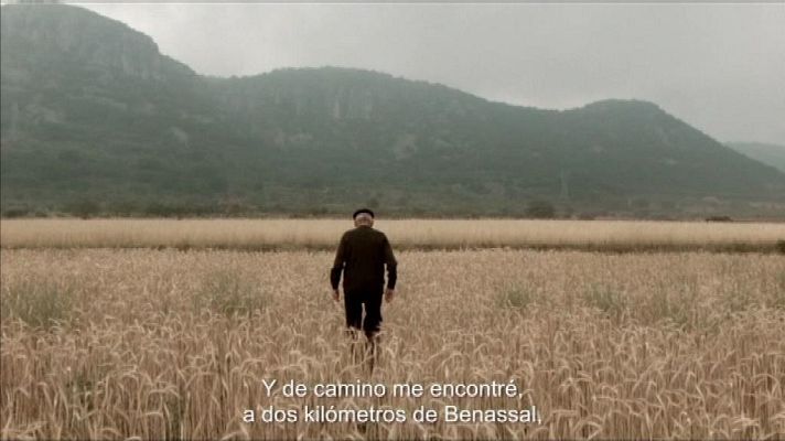 L'informatiu - Comunitat Valenciana - L'Informatiu - Comunitat Valenciana 2 - 15/05/18