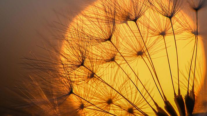 El tiempo - Temperaturas diurnas en ascenso en la Península y Baleares