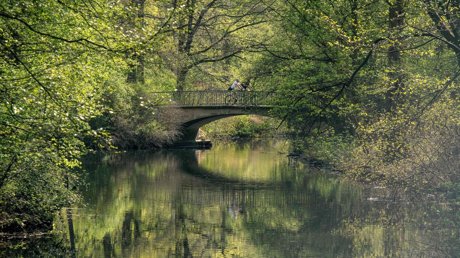 Viento, nubes, lloviznas y aumento de las temperaturas