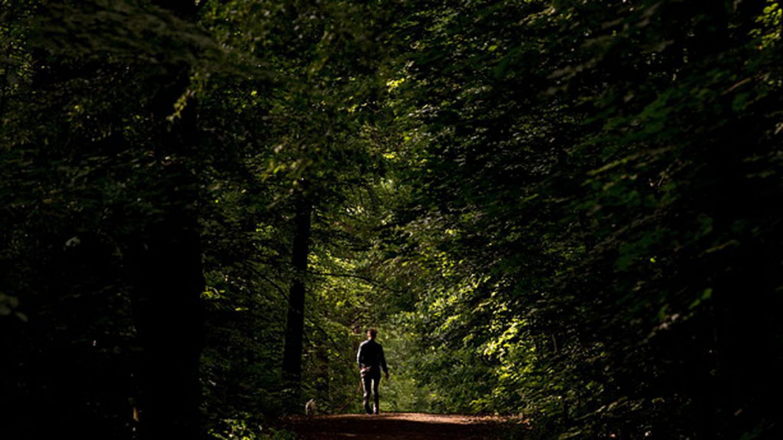El Tiempo en la Comunidad de Madrid - 16/05/18