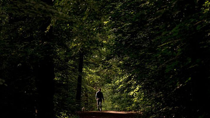 Informativo de Madrid - El Tiempo en la Comunidad de Madrid - 16/05/18