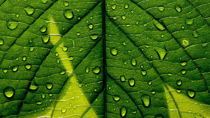 El tiempo - Nubes y posibles lluvias en el litoral