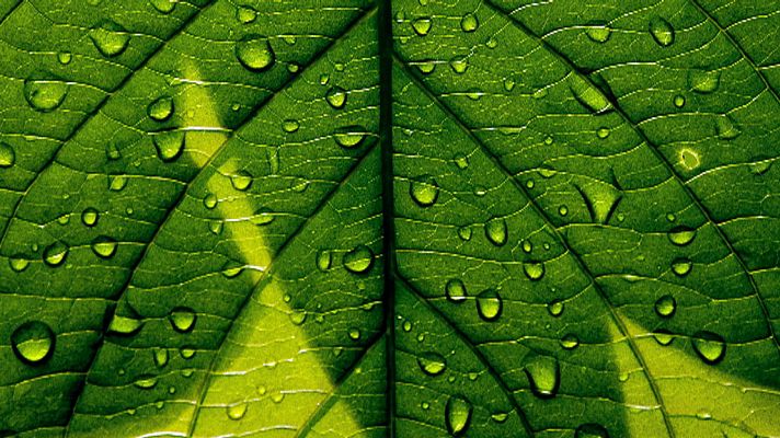 El tiempo - Nubes y posibles lluvias en el litoral