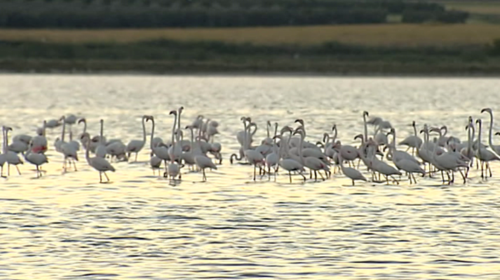 España Directo - España Directo - 16/05/18