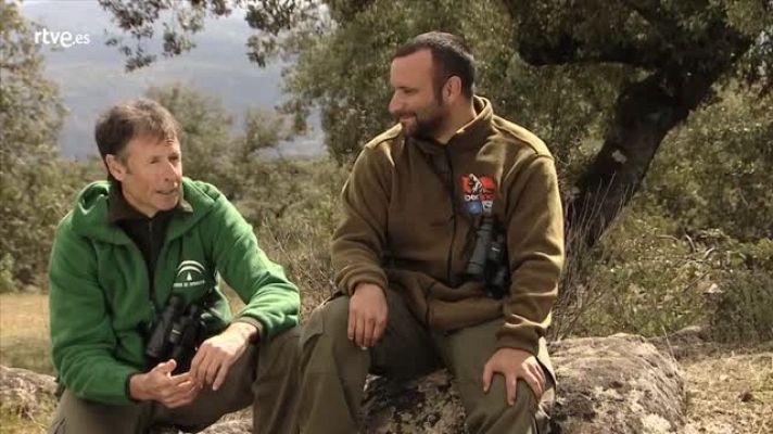 Crónicas - Manolo Moral, agencia Medio Ambiente, equipo Campo Life