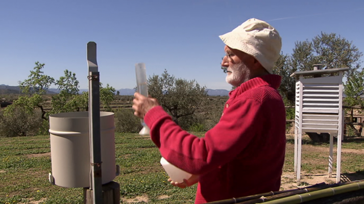 El buen observador