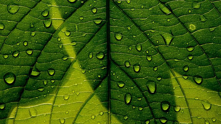 El tiempo - Cielos poco nubosos por la mañana con riesgo de tormentas por la tarde