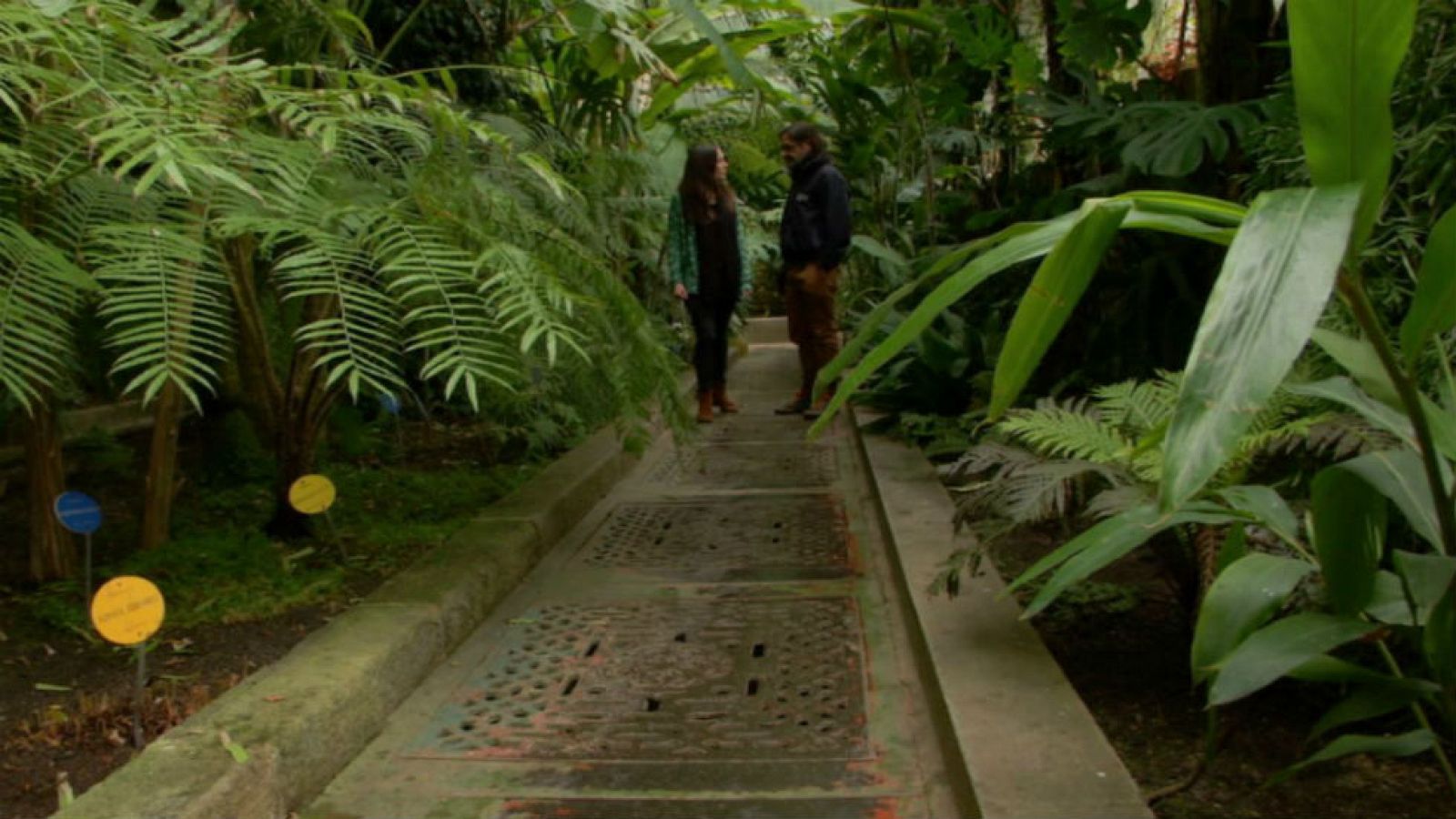 El mesías de las plantas