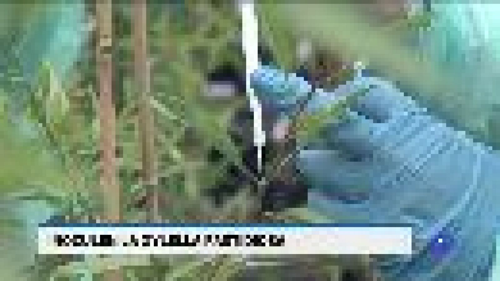 Informatiu Balear en 2' - 21/05/18