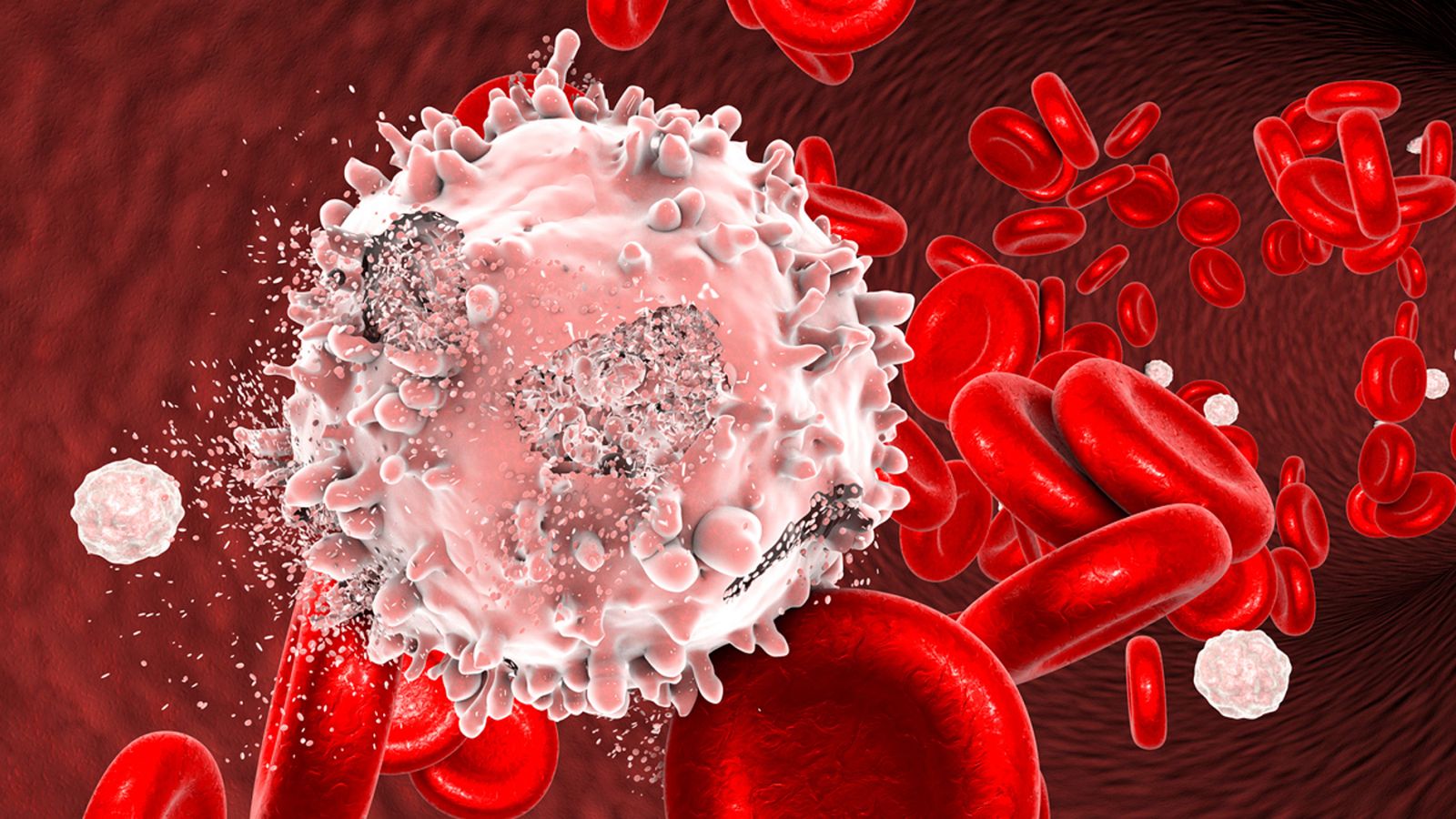 Investigadores españoles descifran el funcionamiento del genoma de la leucemia más frecuente