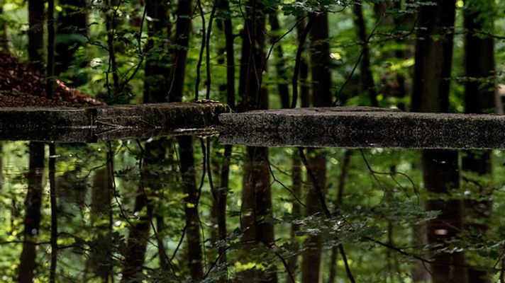 Informativo de Madrid - El Tiempo en la Comunidad de Madrid - 23/05/18