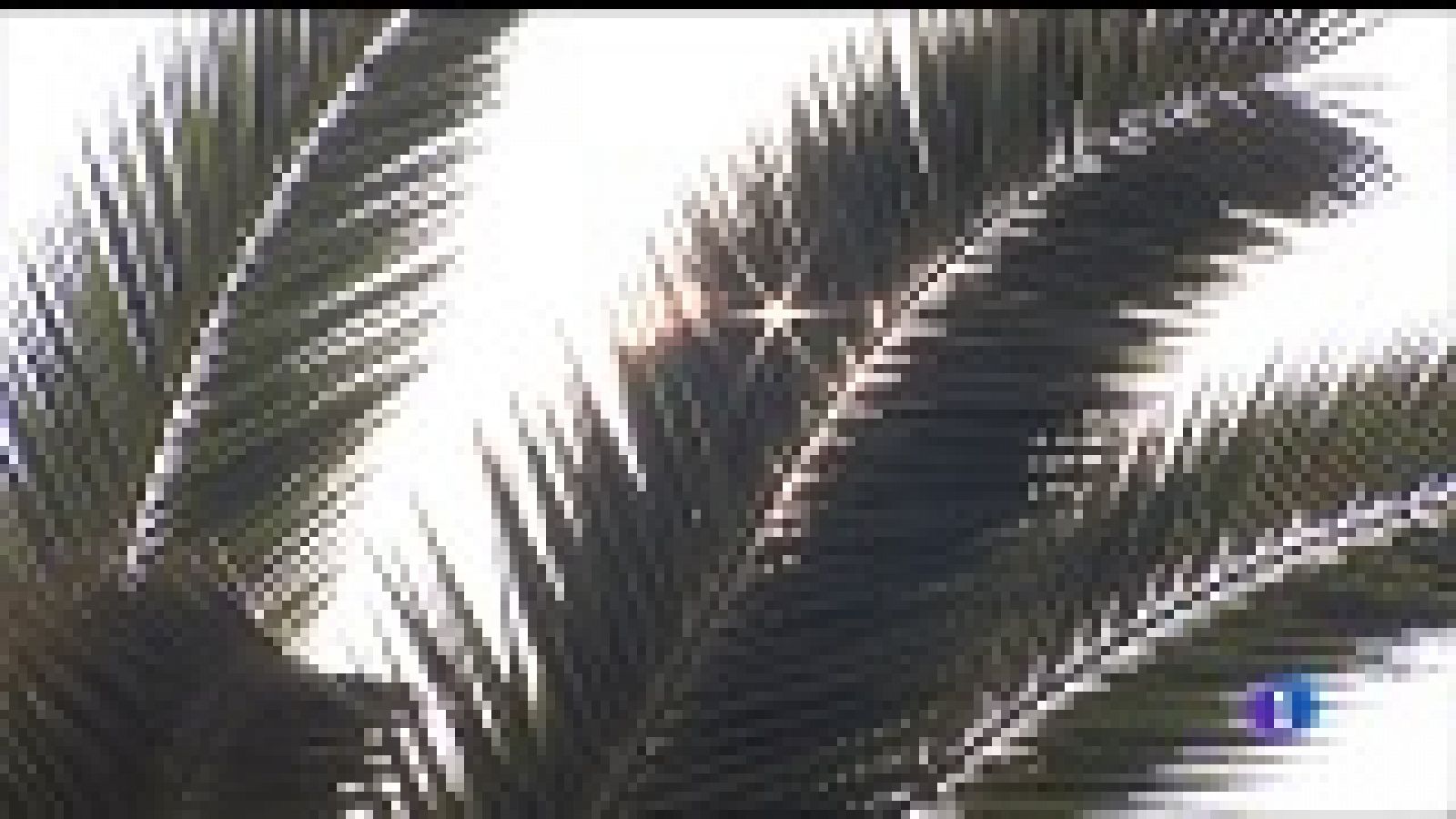 El tiempo en Asturias - 23/05/18 | Ver