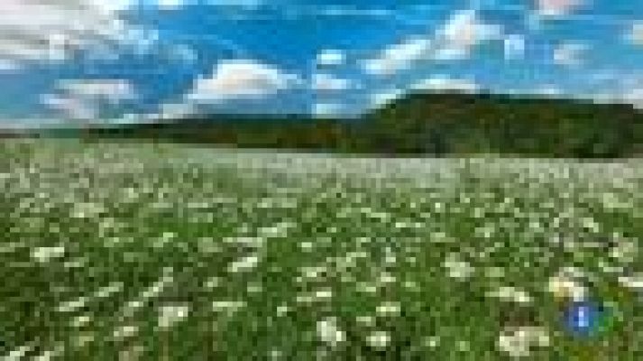 Telenorte - País Vasco - El tiempo en el País Vasco - 23/05/18