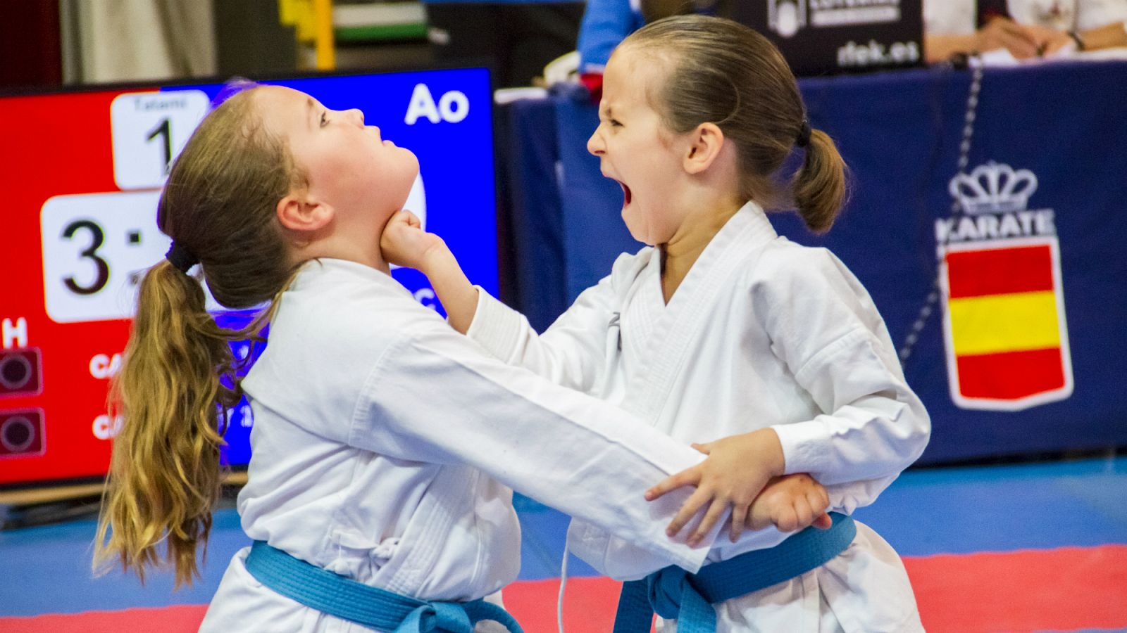 Campeonato de España de Clubes de kárate | Ver