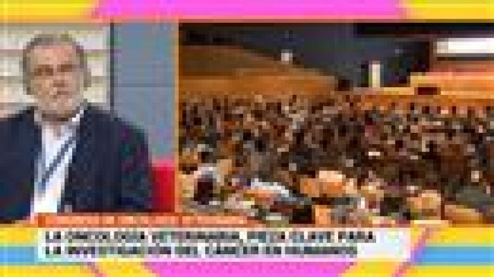 Cerca de ti - Cerca de ti - 24/05/2018