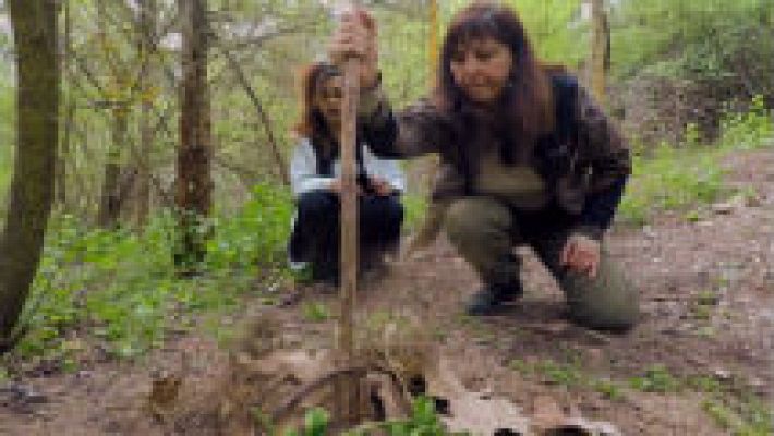 Aquí la Tierra - A la caza del cazador