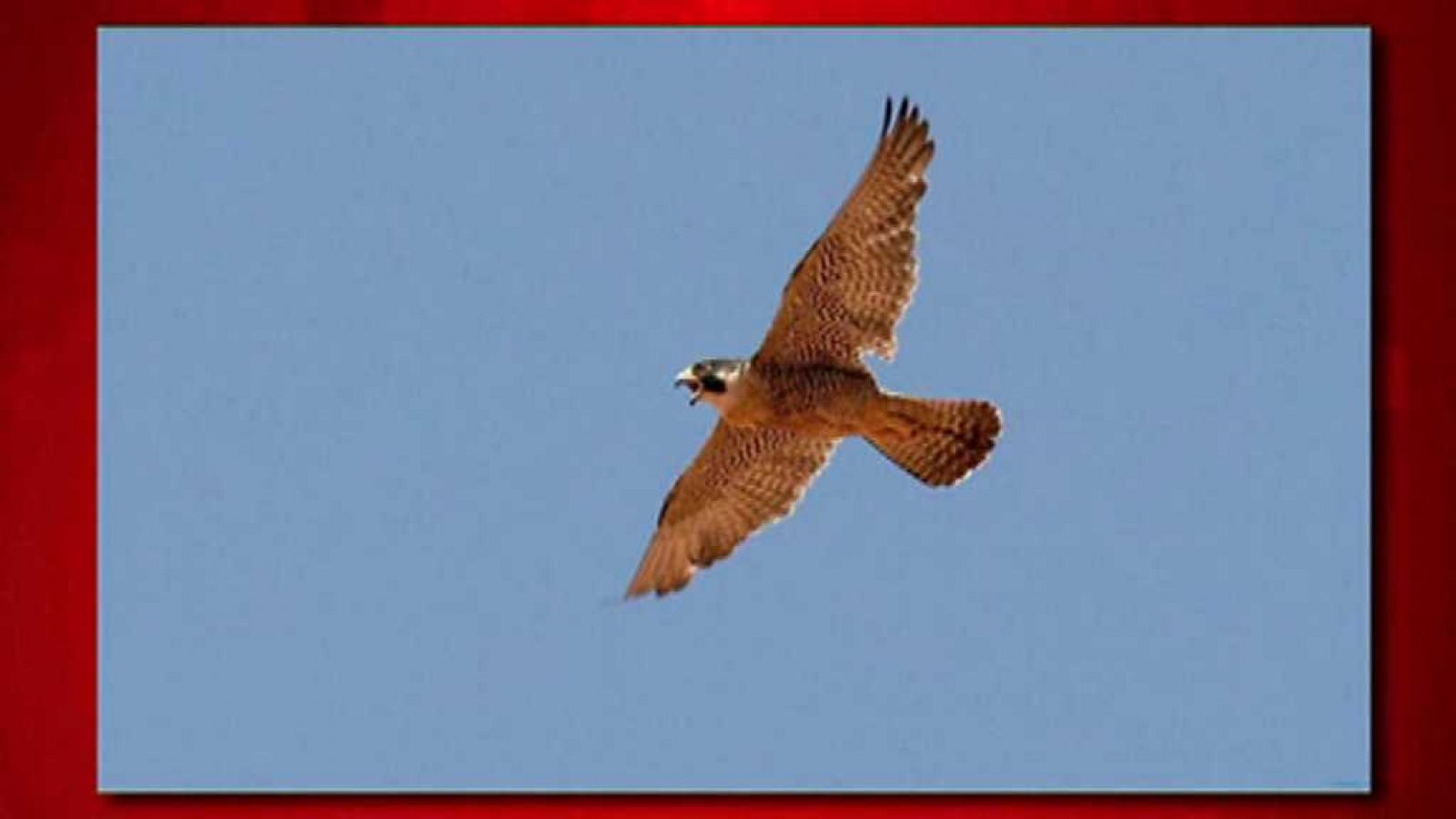 Saber y ganar. Edición de fin de semana - 26/05/18 - ver ahora