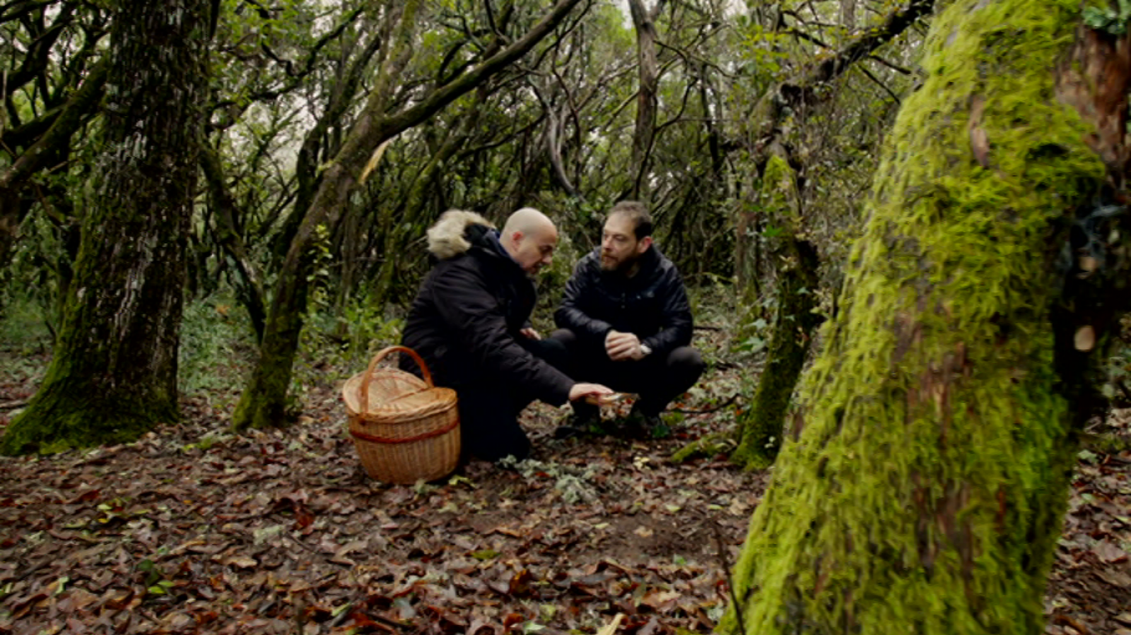 El señor de los bosques: Sierra de Francia | RTVE Play