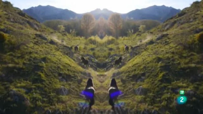 'Aqu� la tierra' cumple cuatro a�os