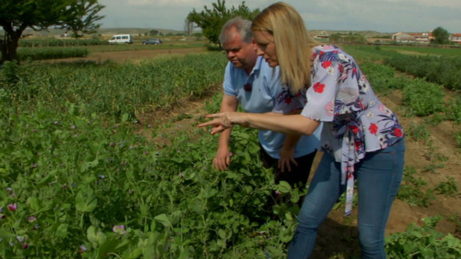 Legumbres ¡de toda la vida!