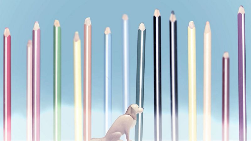 X Concurso de Cortos RNE - Bosque de colores - Ver ahora