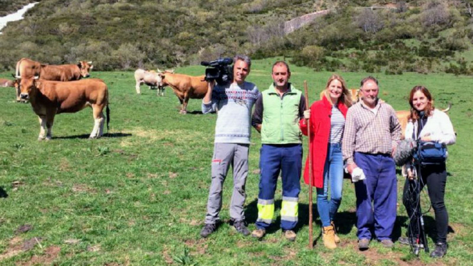 La trashumancia asturiana
