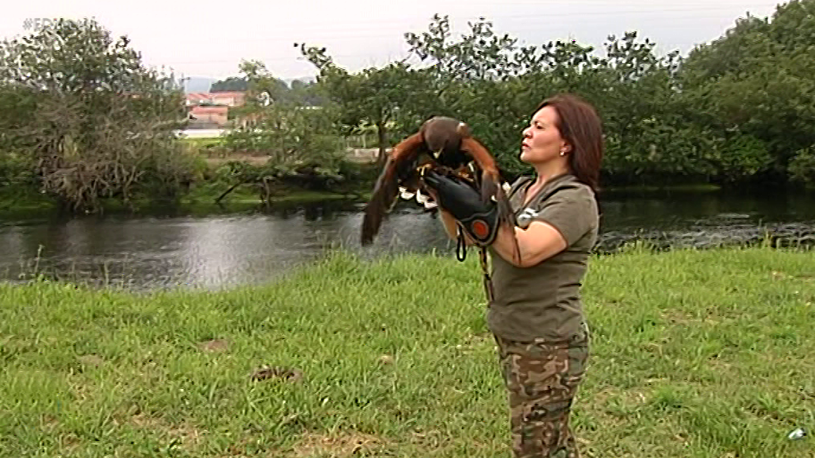 España Directo - 29/05/18 - ver ahora