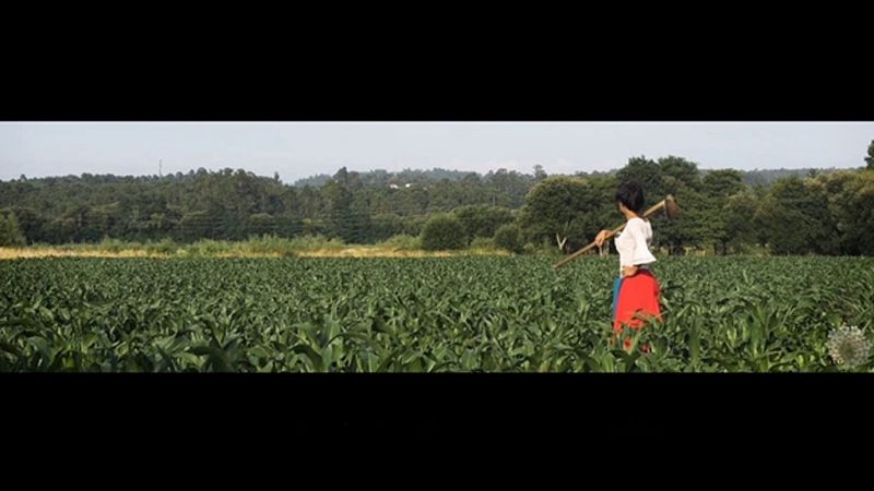 X Concurso de Cortos RNE - La justicia por la mano - Ver ahora