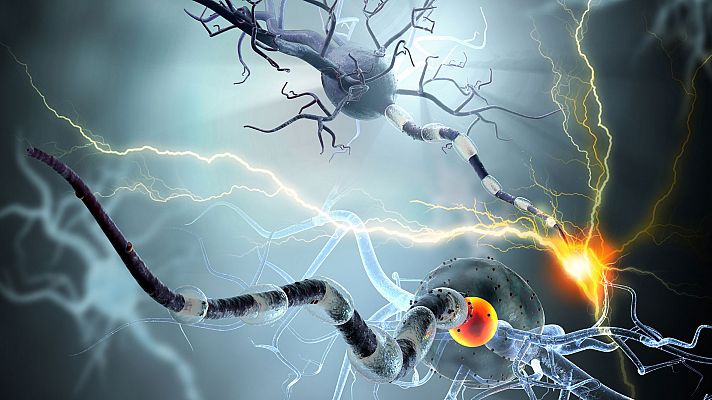 Telediario 1 - Esclerosis múltiple, una enfermedad sin cura pero con buen tratamiento