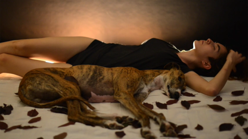 X Concurso de Cortos RNE - Hypnos - Ver ahora