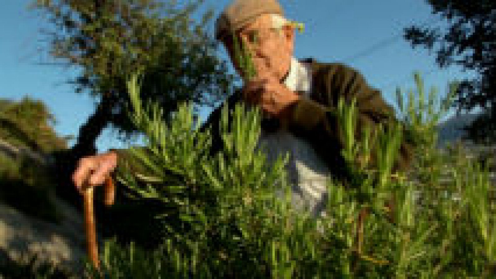 La farmacia natural malagueña